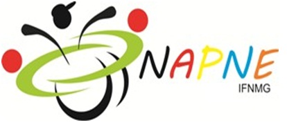 Logo NAPNE