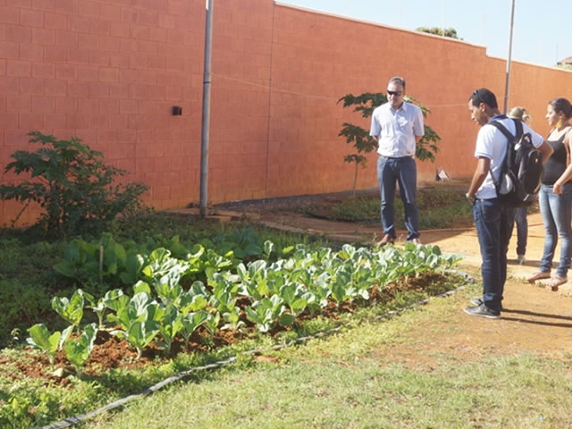 Horta cultivada pelos estudantes moradores da moradia estudantil da UFMG