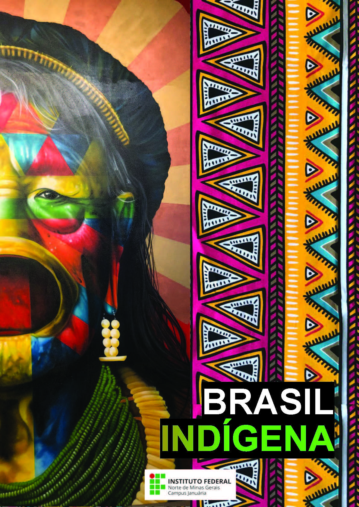 Brasil Indigena2